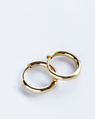 The ANRONET - Earrings