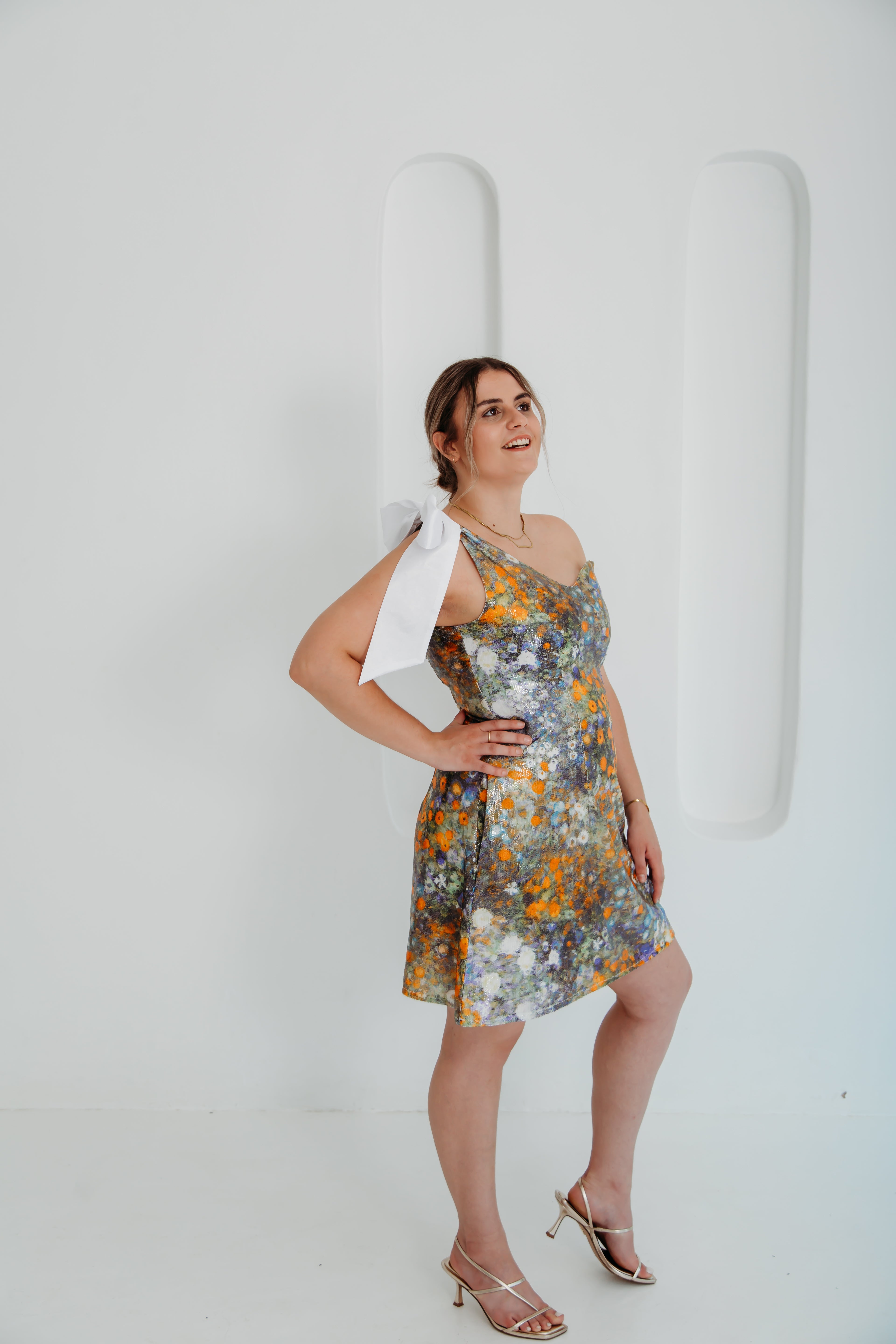 Ophelia Dress (Multicolor)